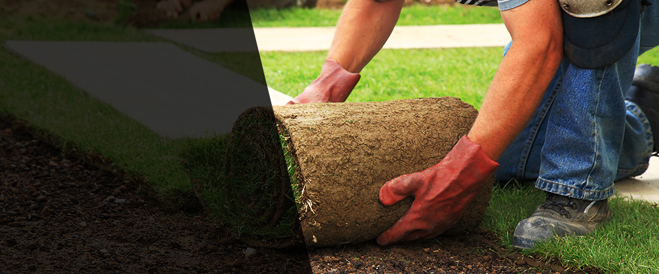 New Brunswick Landscapers